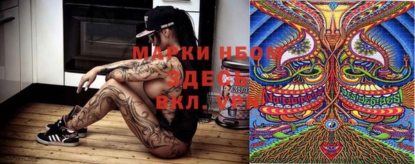 PSILOCYBIN Гусев