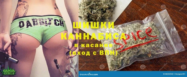 PSILOCYBIN Гусь-Хрустальный