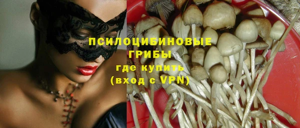 PSILOCYBIN Гусь-Хрустальный