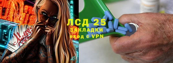 PSILOCYBIN Гусь-Хрустальный