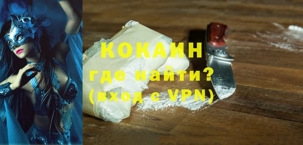 PSILOCYBIN Гусь-Хрустальный