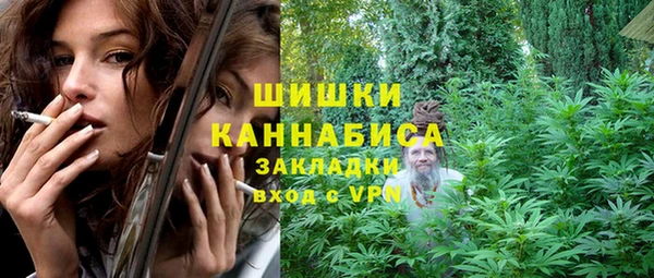 PSILOCYBIN Гусь-Хрустальный
