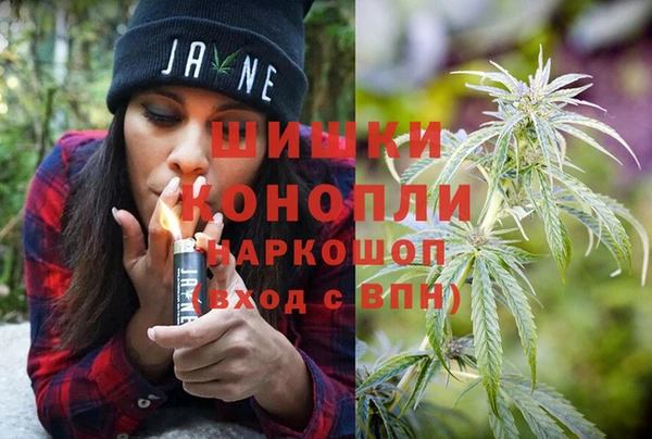 PSILOCYBIN Гусев